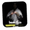 ISRAELDOJO